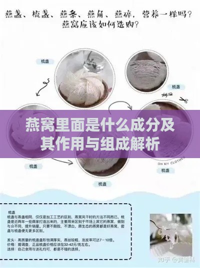 燕窝里面是什么成分及其作用与组成解析