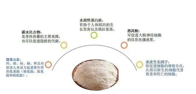 燕窝里面是什么成分及其作用与组成解析