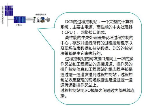 揭秘燕窝果内部结构：全方位了解其成分、营养价值和食用方法