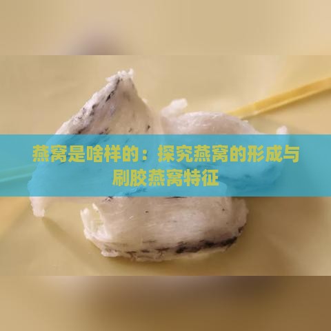 燕窝是啥样的：探究燕窝的形成与刷胶燕窝特征