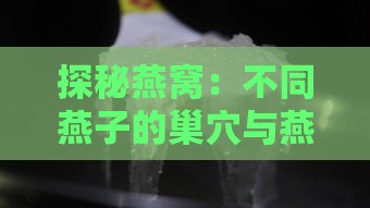 探秘燕窝：不同燕子的巢穴与燕窝的形成奥秘