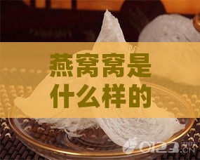 燕窝窝是什么样的窝