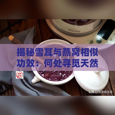 揭秘雪耳与燕窝相似功效：何处寻觅天然滋补珍品？