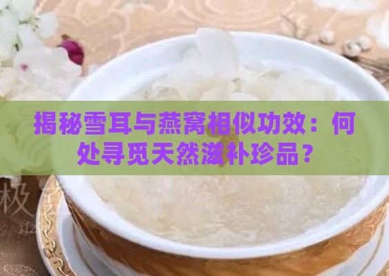 揭秘雪耳与燕窝相似功效：何处寻觅天然滋补珍品？