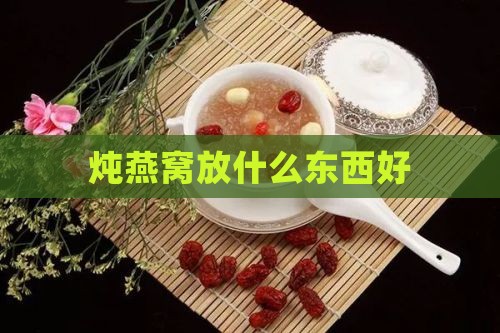 炖燕窝放什么东西好