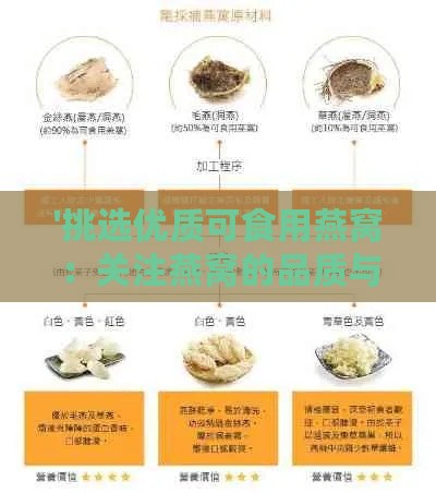 '挑选优质可食用燕窝：关注燕窝的品质与安全标准'