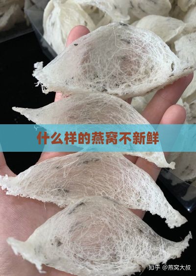 什么样的燕窝不新鲜