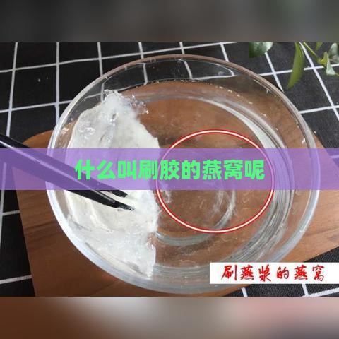 什么叫刷胶的燕窝呢