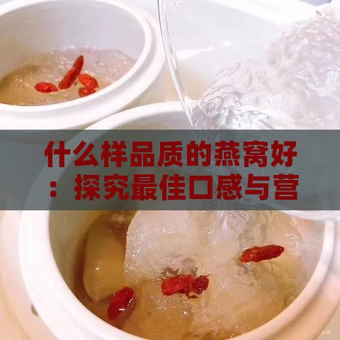 什么样品质的燕窝好：探究更佳口感与营养的燕窝挑选标准