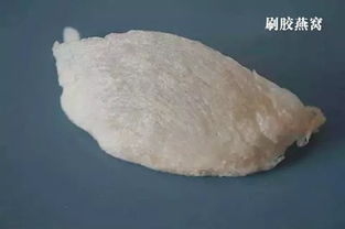 燕窝漂白后还有食用价值吗及其原因探讨