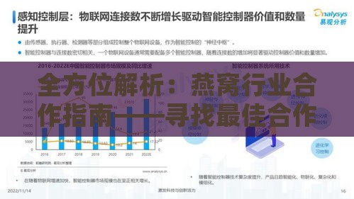 全方位解析：燕窝行业合作指南——寻找更佳合作伙伴策略与实践