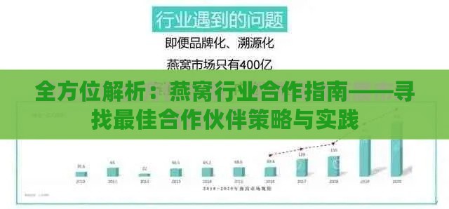 全方位解析：燕窝行业合作指南——寻找更佳合作伙伴策略与实践