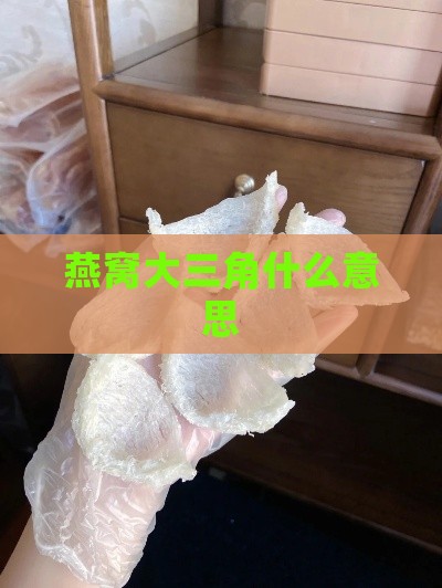 燕窝大三角什么意思