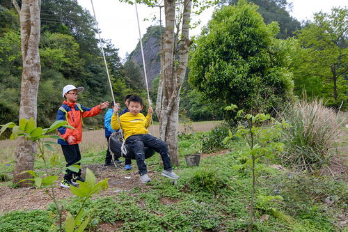 探寻燕窝采摘秘境：揭秘燕窝采摘圣地何处寻