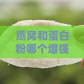 燕窝和蛋白粉哪个增强免疫力更有效？