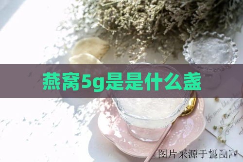 燕窝5g是是什么盏