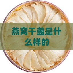 燕窝干盏是什么样的