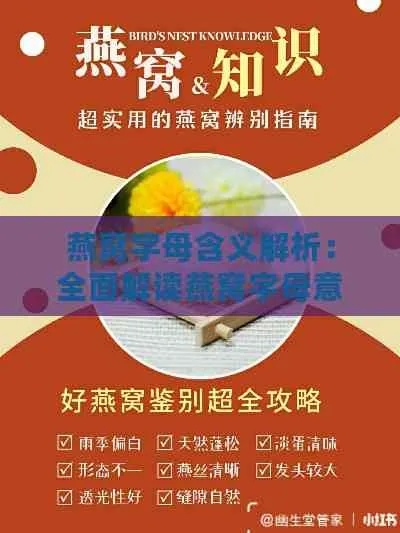 nn写燕窝是什么意思呀英语：中英文对照解释及作文示例