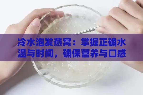 冷水泡发燕窝：掌握正确水温与时间，确保营养与口感