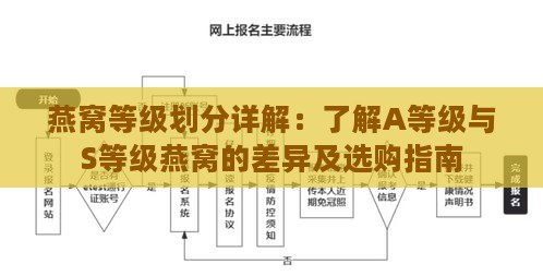 燕窝等级划分详解：了解A等级与S等级燕窝的差异及选购指南