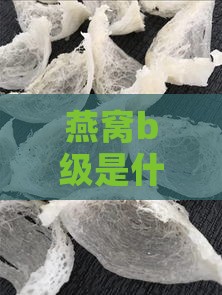 燕窝b级是什么意思