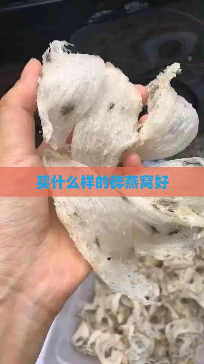 买什么样的碎燕窝好