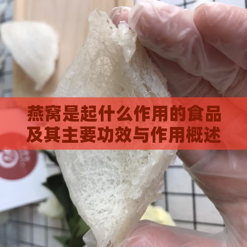 燕窝是起什么作用的食品及其主要功效与作用概述