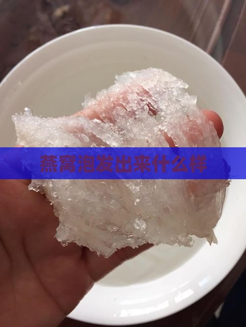 燕窝泡发出来什么样