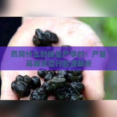 燕窝什么时候是产季的：产量高峰及流行起源解析