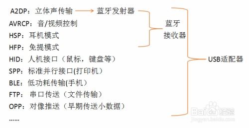 详解燕窝等级5A、6A、7A的含义及其品质差异