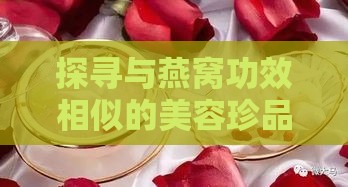 探寻与燕窝功效相似的美容珍品：揭秘替代品之谜