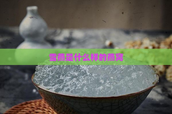 雪燕是什么样的燕窝