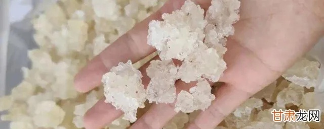 雪燕是什么样的燕窝