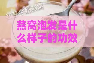 燕窝泡发是什么样子的功效与作用及营养：详解真正燕窝泡发形态与价值