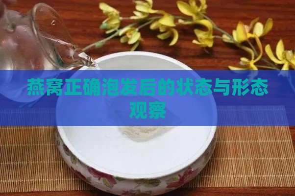 燕窝正确泡发后的状态与形态观察