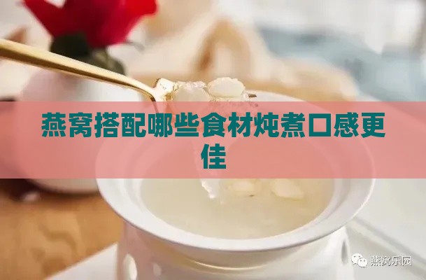 燕窝搭配哪些食材炖煮口感更佳