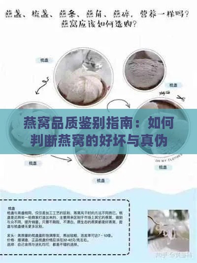 燕窝品质鉴别指南：如何判断燕窝的好坏与真伪