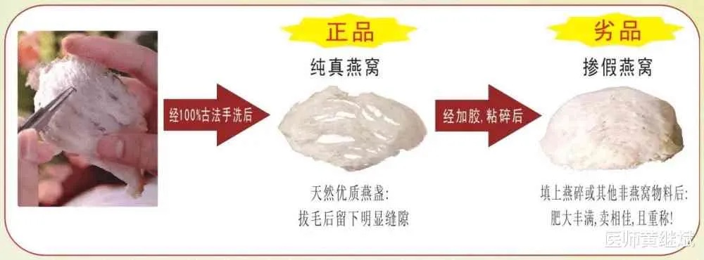 燕窝品质鉴别指南：如何判断燕窝的好坏与真伪