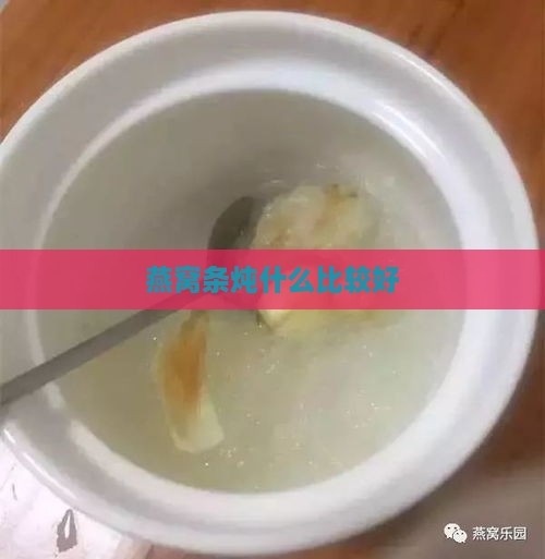 燕窝条炖什么比较好