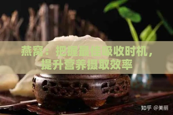 燕窝：把握更佳吸收时机，提升营养摄取效率