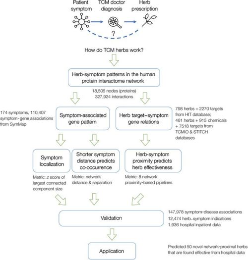 揭秘燕窝核心功效：探究其主要作用的科学原理