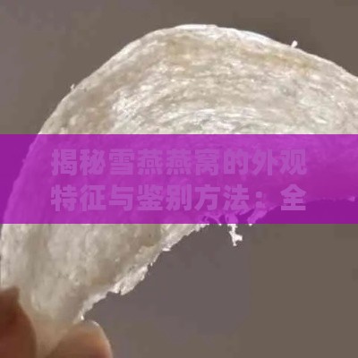 揭秘雪燕燕窝的外观特征与鉴别方法：全面了解其形态、质地及真假辨别技巧