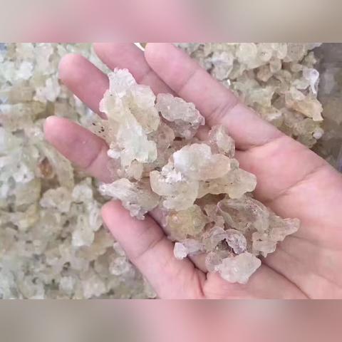 雪燕燕窝是怎么形成的：揭秘其形成原理与过程