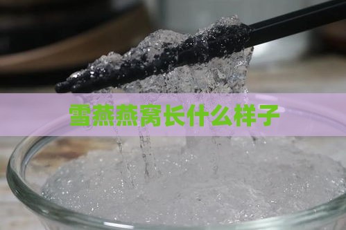 雪燕燕窝长什么样子