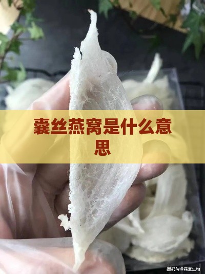 囊丝燕窝是什么意思