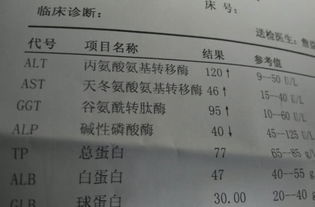 备孕期间如何正确食用燕窝：时间选择、剂量与功效全解析