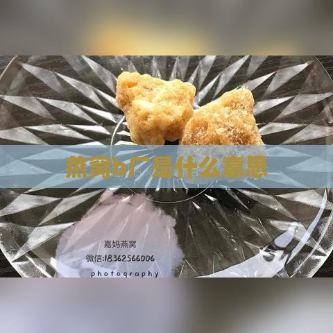 燕窝b厂是什么意思