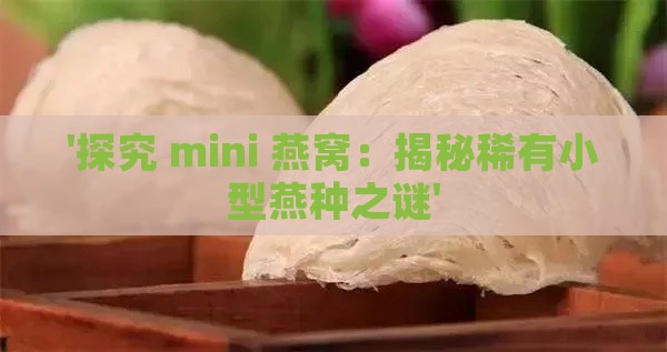 '探究 mini 燕窝：揭秘稀有小型燕种之谜'