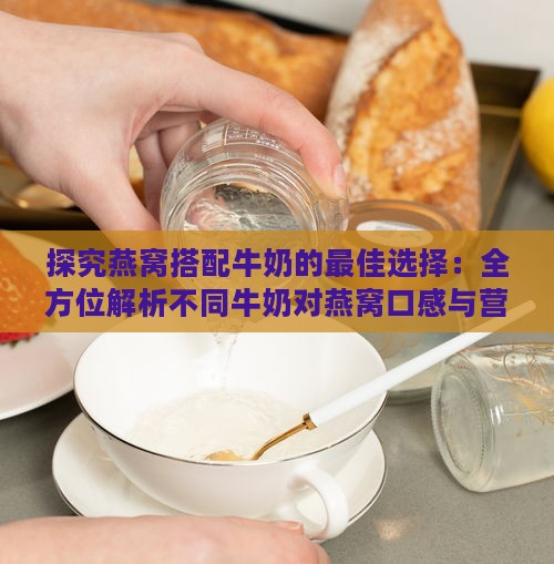 探究燕窝搭配牛奶的更佳选择：全方位解析不同牛奶对燕窝口感与营养的影响