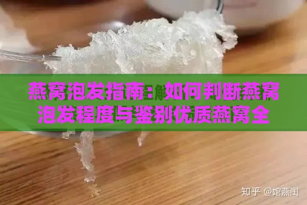 燕窝泡发指南：如何判断燕窝泡发程度与鉴别优质燕窝全攻略